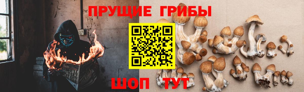 Псилоцибиновые грибы прущие грибы  Галлюциногенные грибы ЛСД  Вход с VPN  Елец 